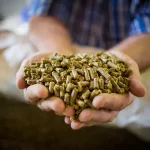 Animal Feed swede Animal Feed swede