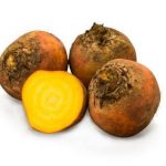 Beetroot Golden Beetroot Golden