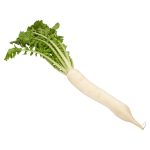 Daikon Radish Daikon Radish