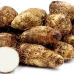 Fresh Cocoyam Roots