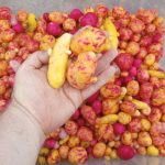 Fresh Ulluco (Whole) Fresh Ulluco (Whole)