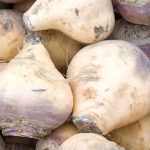 Fresh Whole Swede Fresh Whole Swede