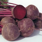 Organic Beetroot Organic Beetroot