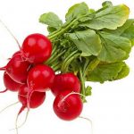 Red Globe Radish Red Globe Radish