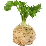 Whole Fresh Celeriac